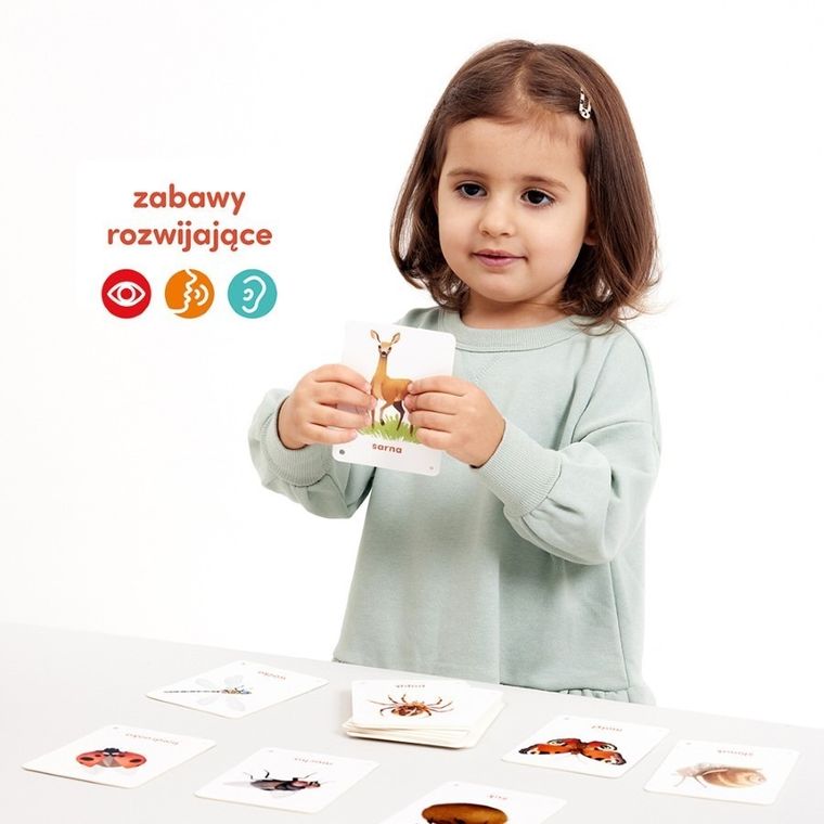 CzuCzu, Karty obrazkowe, Zwierzęta