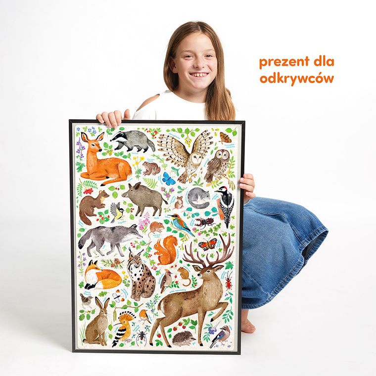 CzuCzu, puzzle odkrywcy, Dzika przyroda, 300 elementów