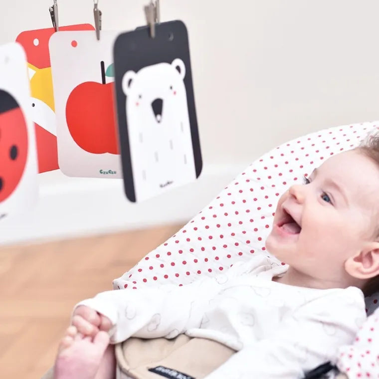 CzuCzu, Starter malucha, Co widzę? 2 książeczki obrazkowe