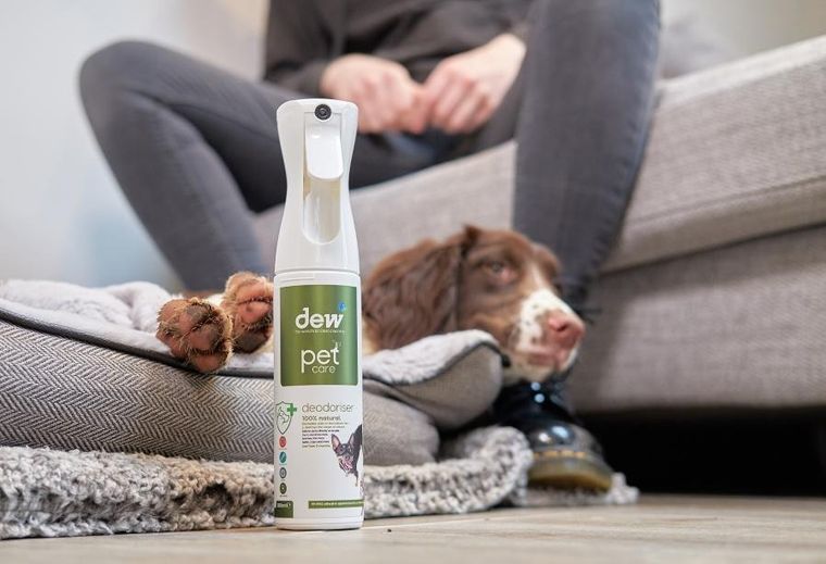 Dew Pet Care, dezodorant dla zwierząt, neutralizator powietrza, 2,5l