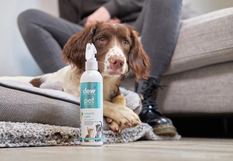 Dew Pet Care, środek do pielęgnacji ran dla zwierząt, 2,5l