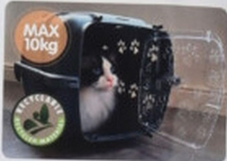 Dogs collection, transporter dla zwierzaka, 48-32-30 cm