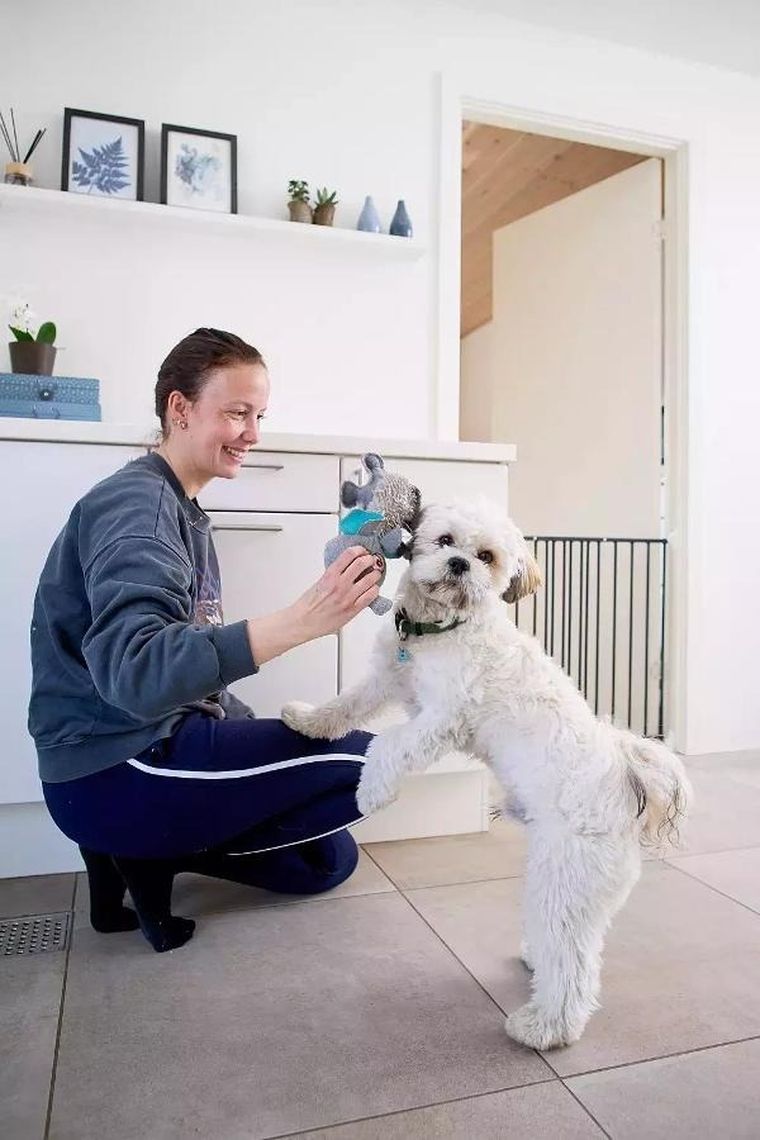 DogSpace, Lucky, przykręcana bramka dla psa, czarna, 62.5-106 cm