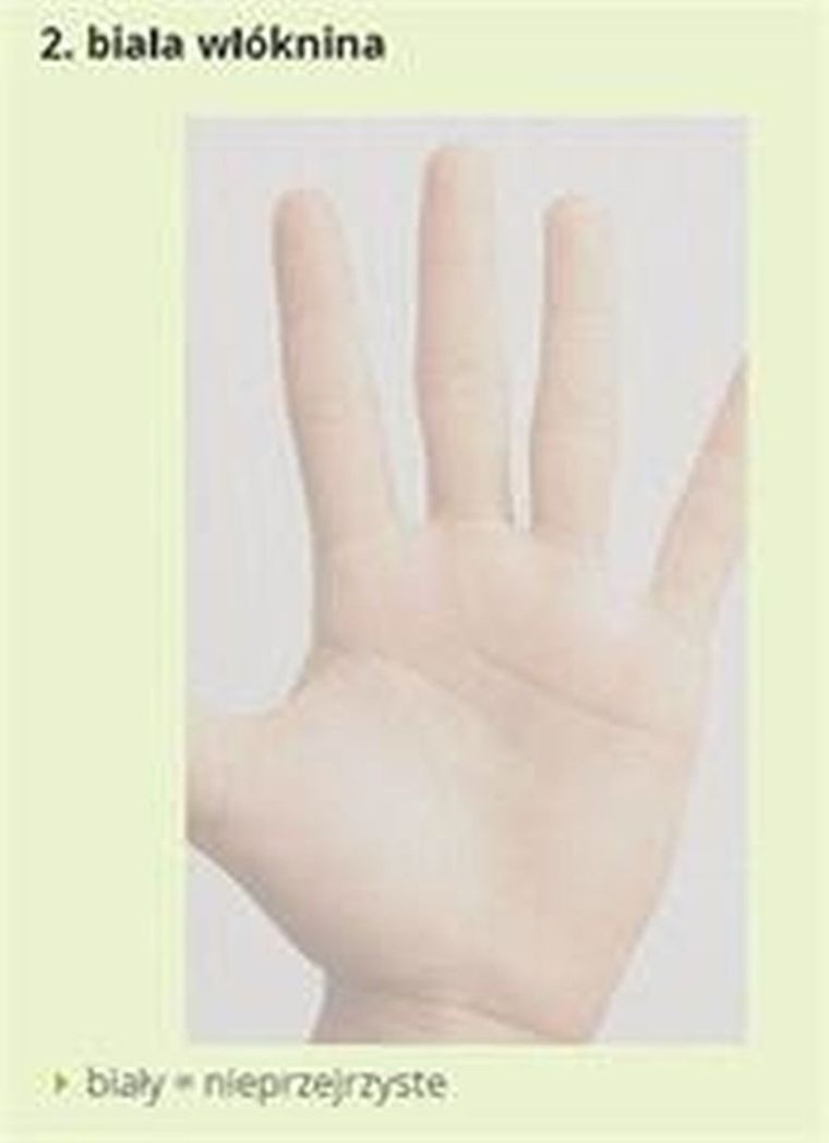 Easy Life Mako, moskitiera na okno połaciowe, biała, 140-170 cm