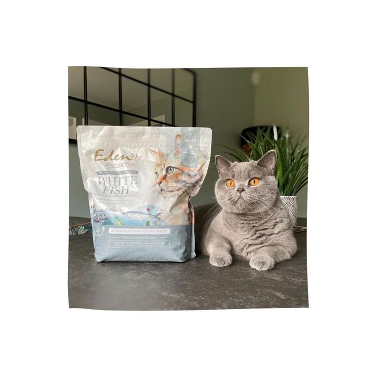 Eden, karma sucha dla kota, Biała Ryba z Ikra ze Śledzia, 1,5kg