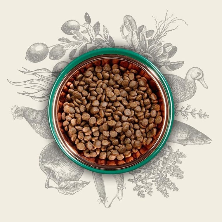 Eden, Original Cuisine, karma sucha dla kota, 10kg