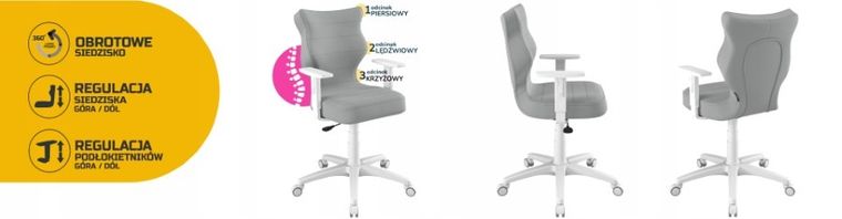 Entelo, Duo, krzesło biurowe z podłokietnikami, wzrost 159-188 cm, szare