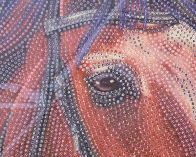 Epee, Crystal Art, plakat z mozaiką diamentową, Konie, 35-45 cm