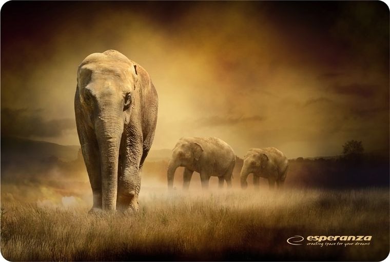 Esperanza, podkładka pod mysz, Foto Mix, EA133