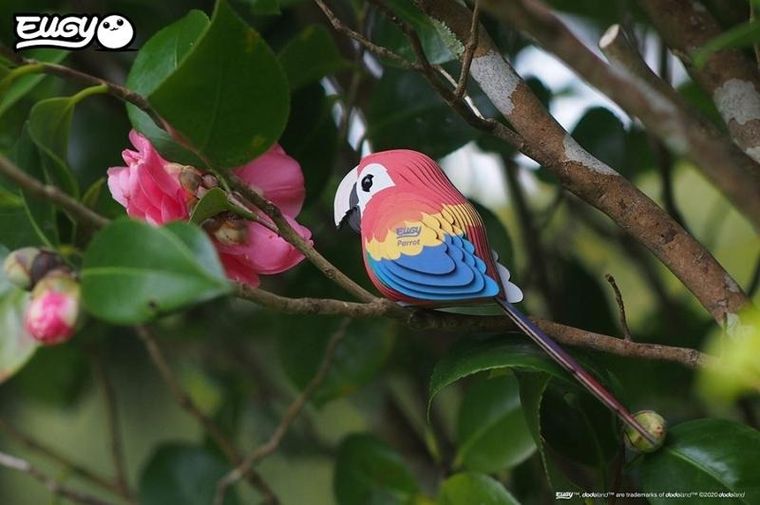Eugy, układanka 3D, Papuga