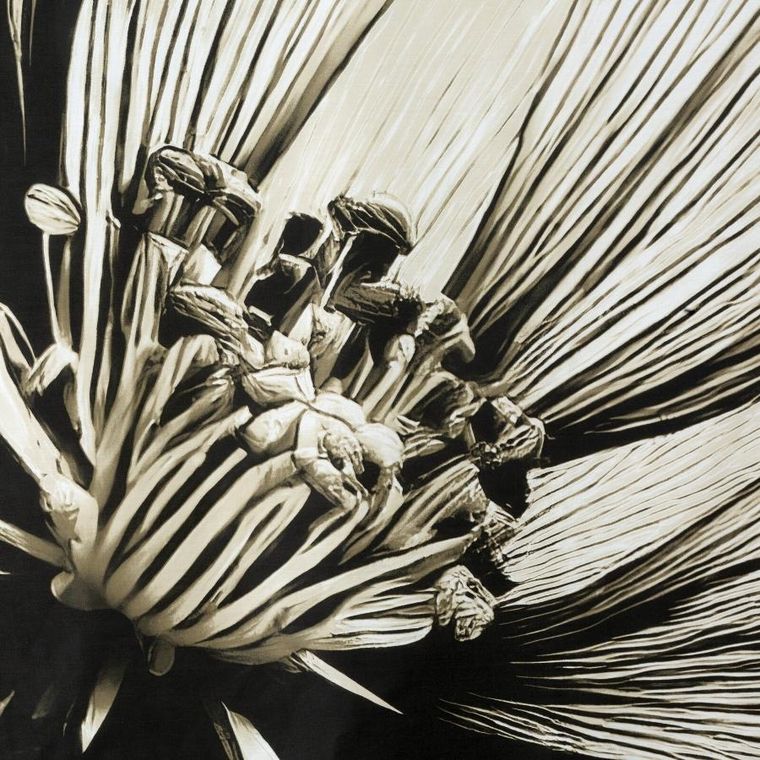 Eurofirany, komplet pościeli satynowej, Spring, 160-200 cm, jasnobeżowy