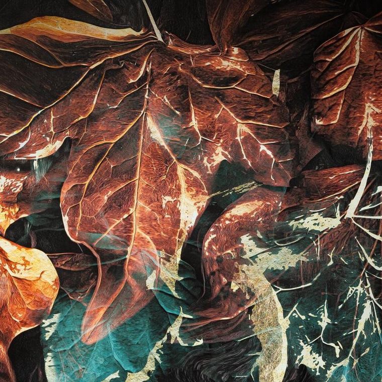 Eurofirany, pościel Eva, 160-200 cm, czarny