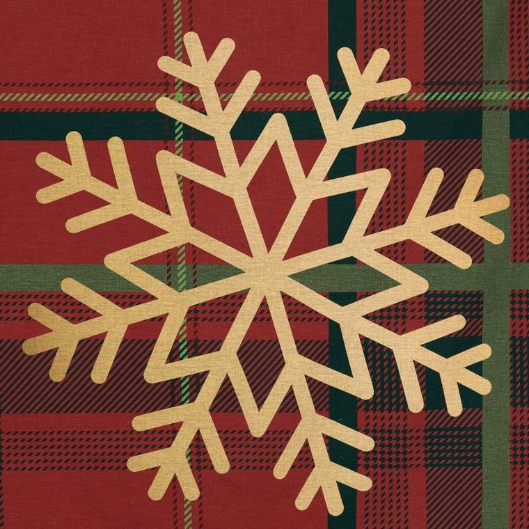 Eurofirany, świąteczny komplet pościeli, Estrella, 160-200 cm, czerwony