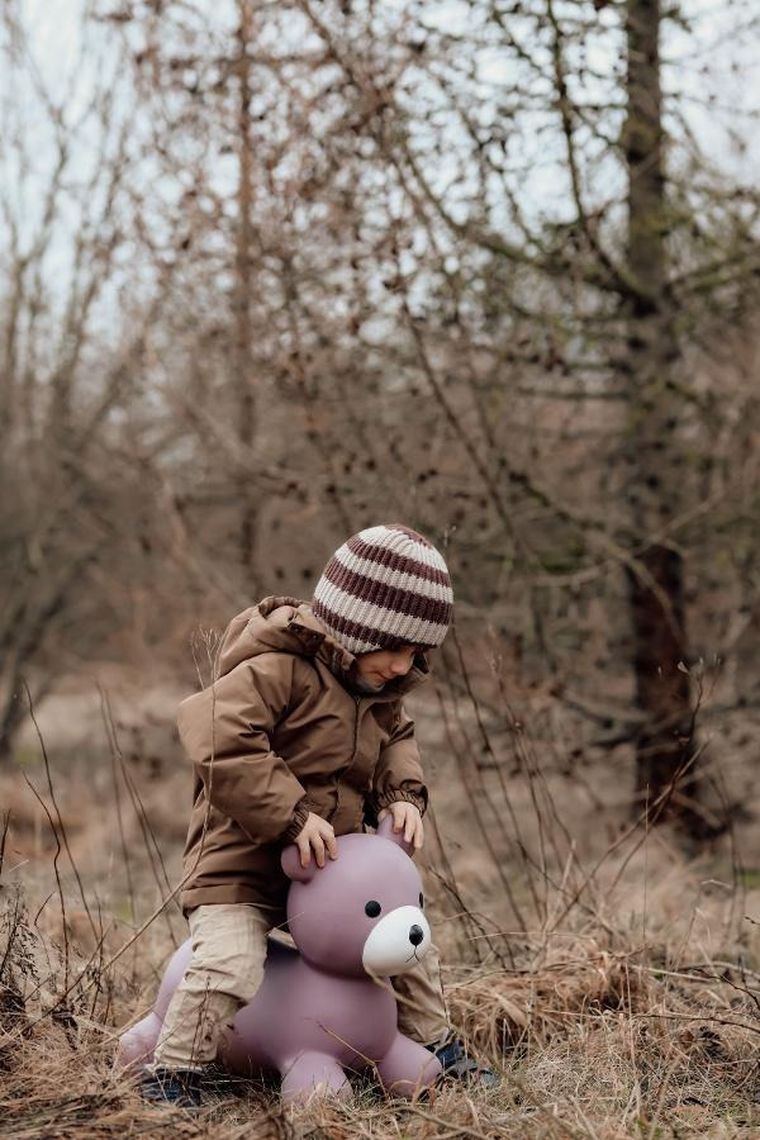 Find that Hippo, Miś, skoczek