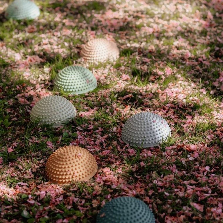 Find that Hippo, Zachód słońca, ścieżka sensoryczna