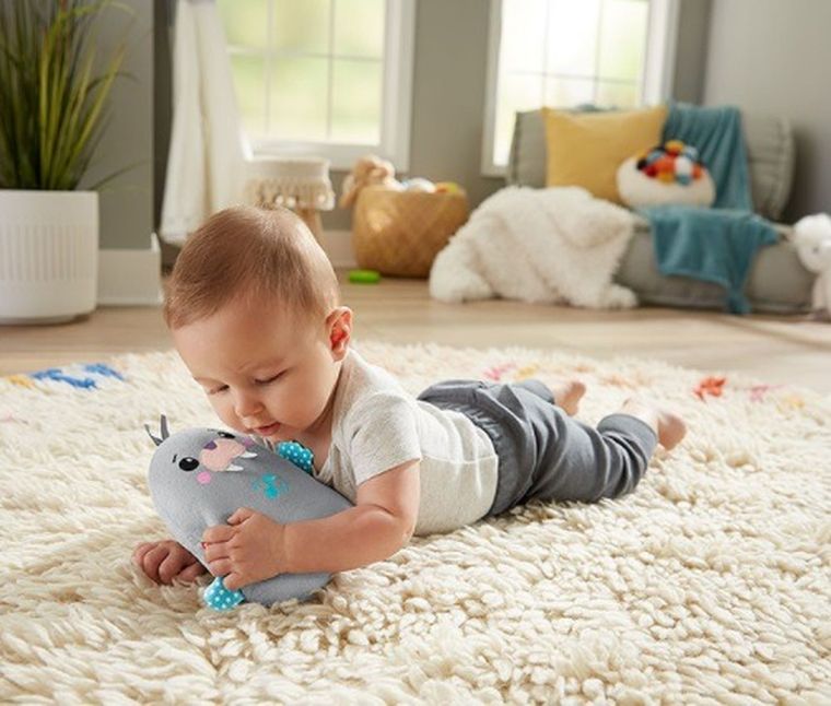 Fisher-Price, Uspokajacz mors z wibracjami, zabawka niemowlęca