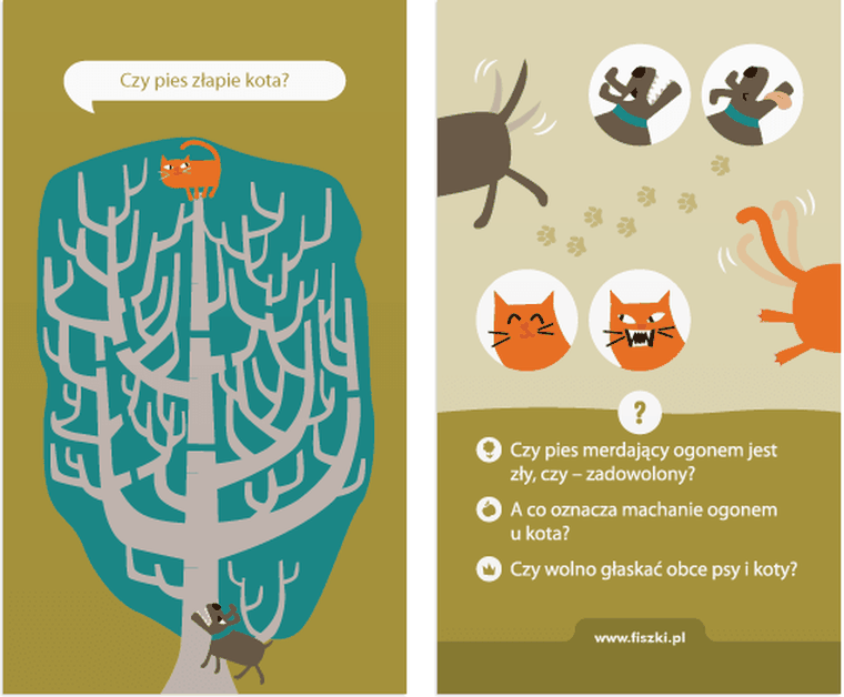 Fiszki. Grajki. Książeczka. 4-5 latki