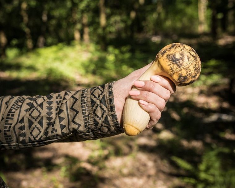 Gadget Master, antystresowy grzyb, boczniak