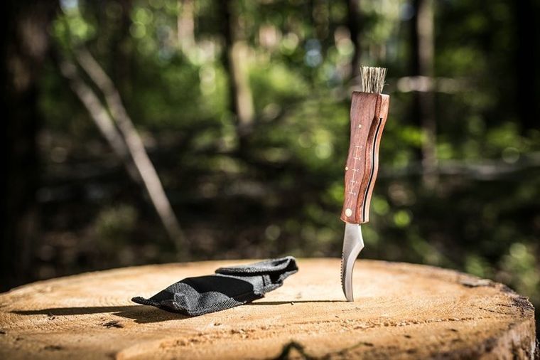 Gadget Master, niezbędnik grzybiarza