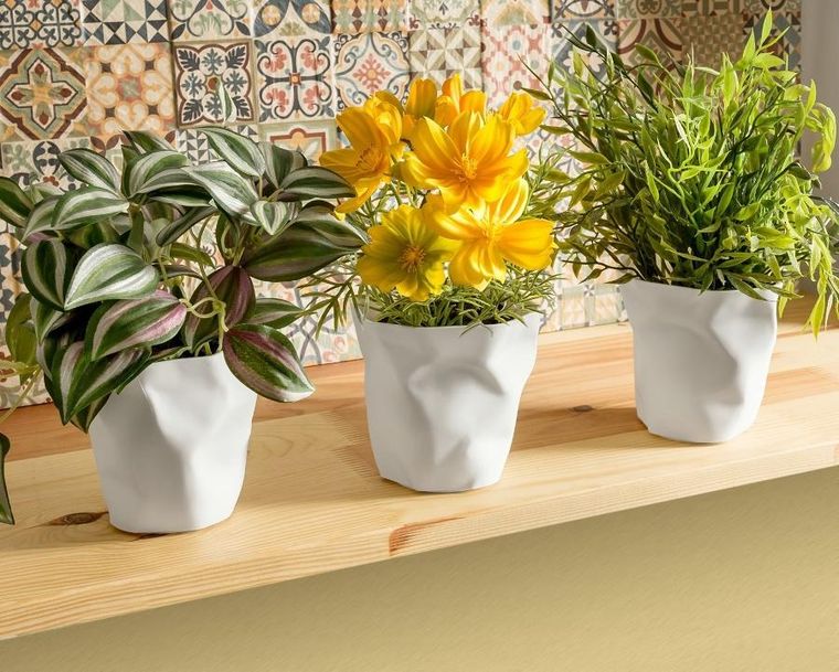 Gadget Master, przybornik i doniczki, zgniecione kubeczki, 3 szt.