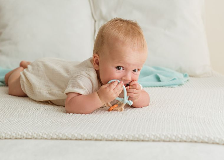 GiliGums, Miś, gryzak