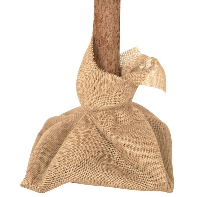 Gregman, Xmas 10, choinka, 180 cm