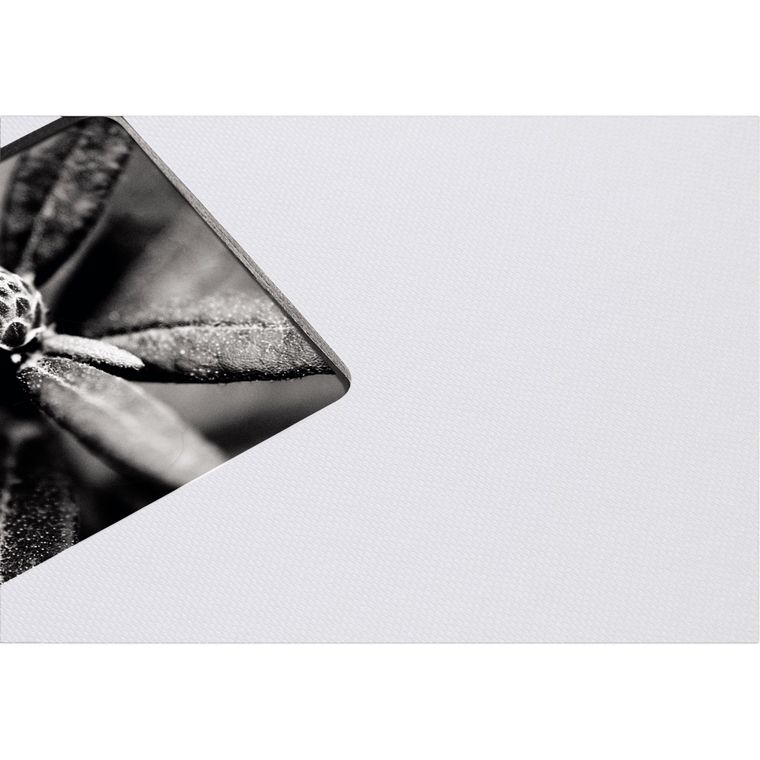 Hama, Fine Art, album, 50 stron, 28-24 cm, czarne kartki, biały