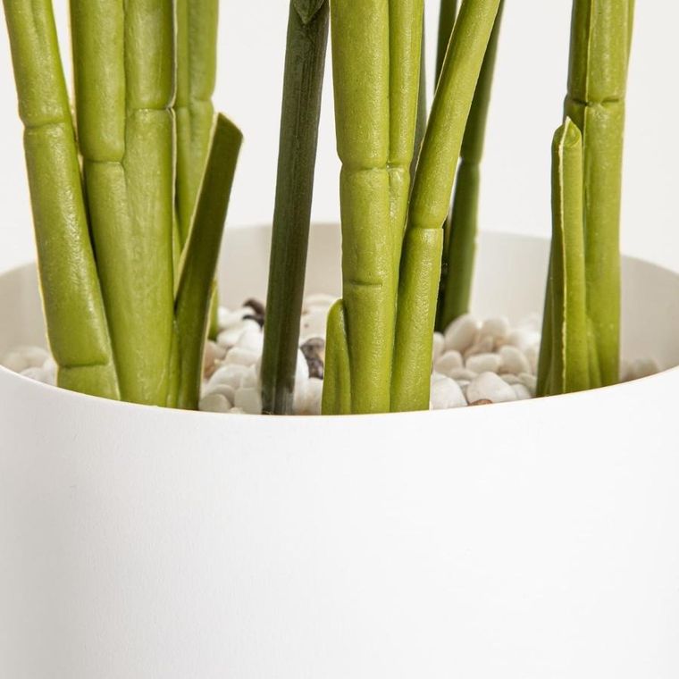 Homla, Botanic, roślina sztuczna, strelicja, 75 cm