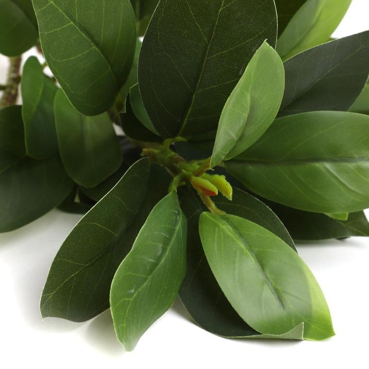 Homla, Edera, gałązka sztuczna, liście, 79 cm