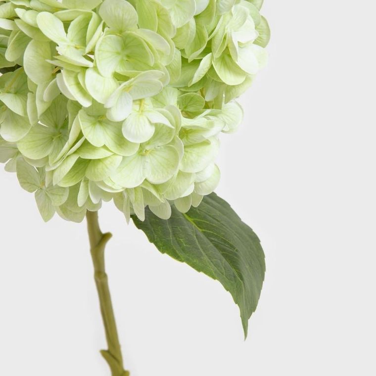 Homla, Fortens, gałązka sztuczna, hortensja, zielona, 49 cm, 739019