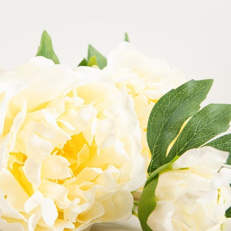Homla, Paeonia, gałązka sztuczna, piwonie białe, 81 cm