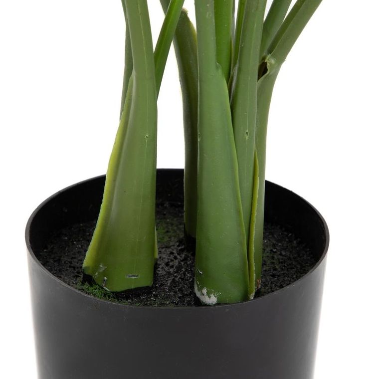 Homla, Tropical Zone, roślina sztuczna, bananowiec, 90 cm