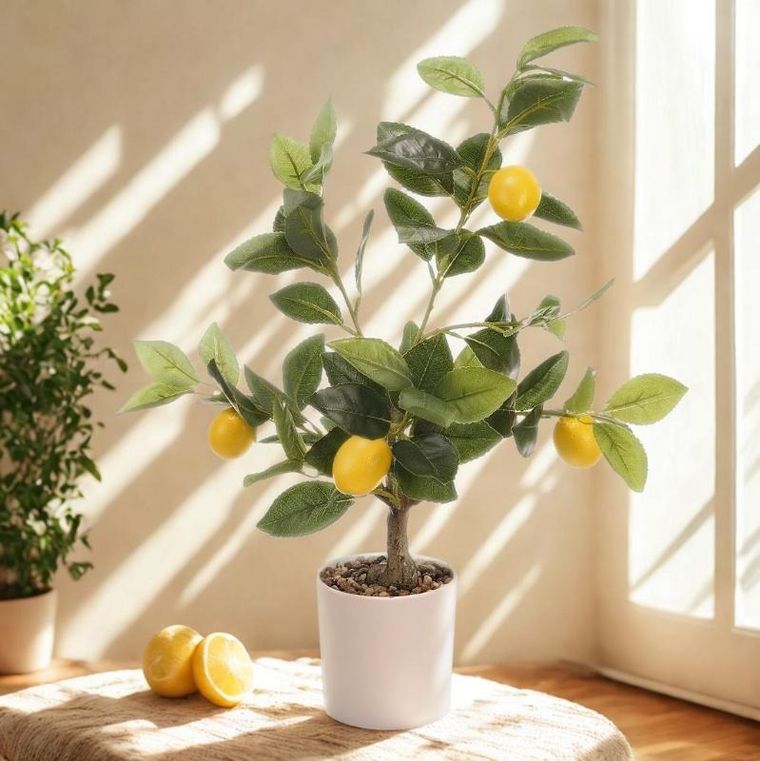 Ibergarden, dekoracyjne drzewko cytrynowe, 58 cm