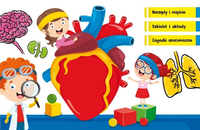 I'm a Genius, Quiz Ciało Człowieka, gra edukacyjna