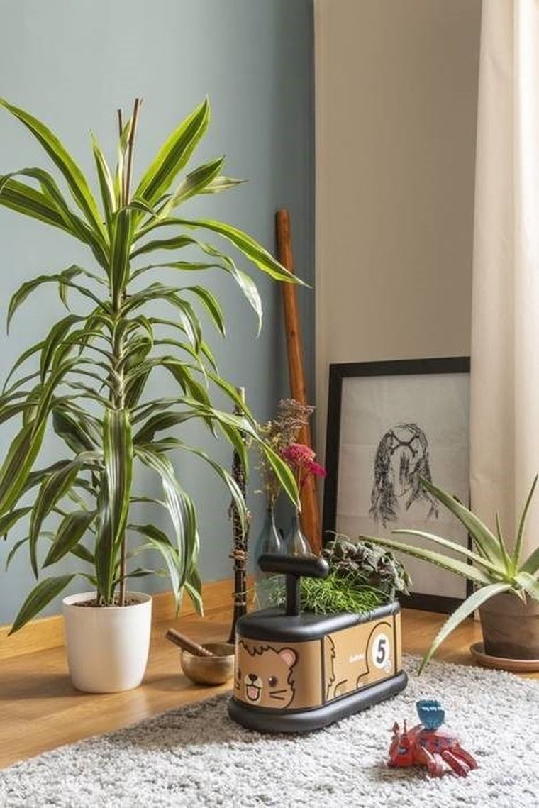 Italtrike, La Cosa, jeździk dla dzieci, Lew