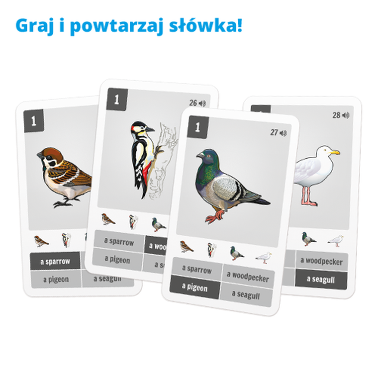 Język angielski. Fiszki obrazkowe + Kwartet. Zwierzęta