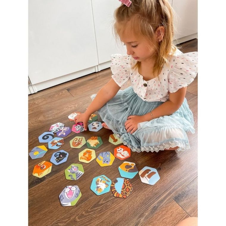 Kapitan Nauka. Memory, Kociaki, gra familijna