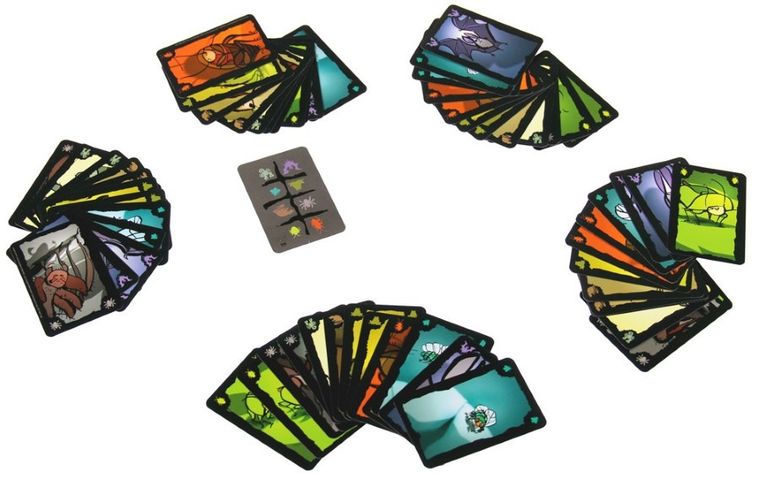 Karaluszek kłamczuszek, gra karciana