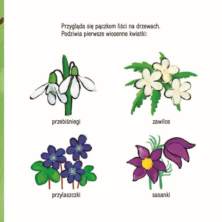 Kicia Kocia. Wiosna!