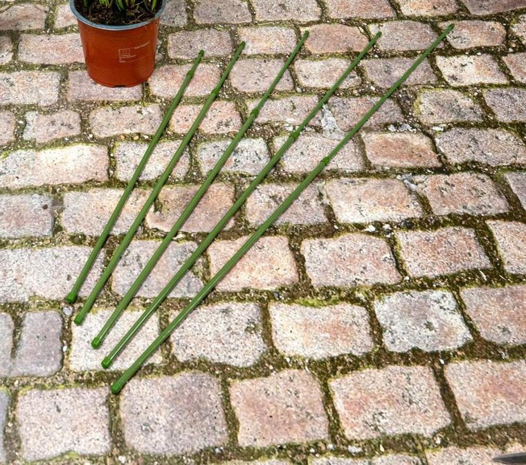 Kinzo, podpora tyczka do roślin, 50-80 cm, 6 szt.