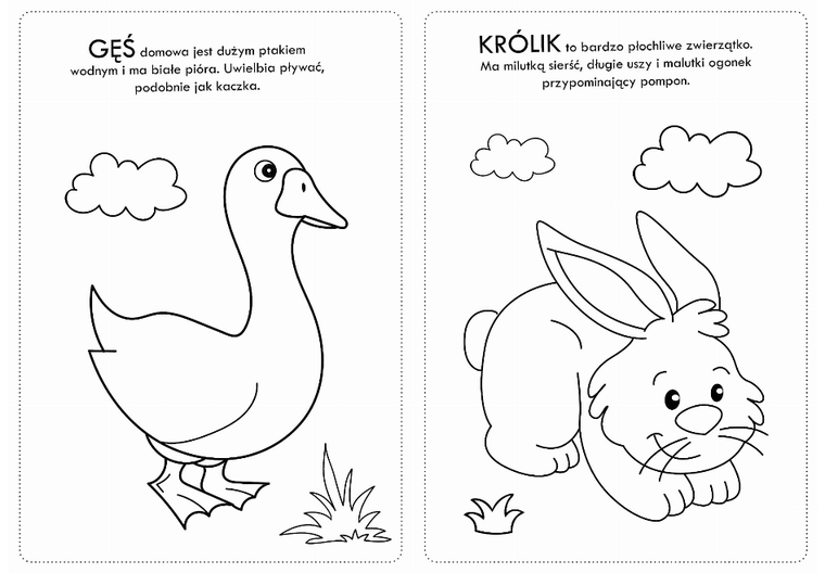 Kolorowanka z naklejkami. Zwierzaczki wiejskie