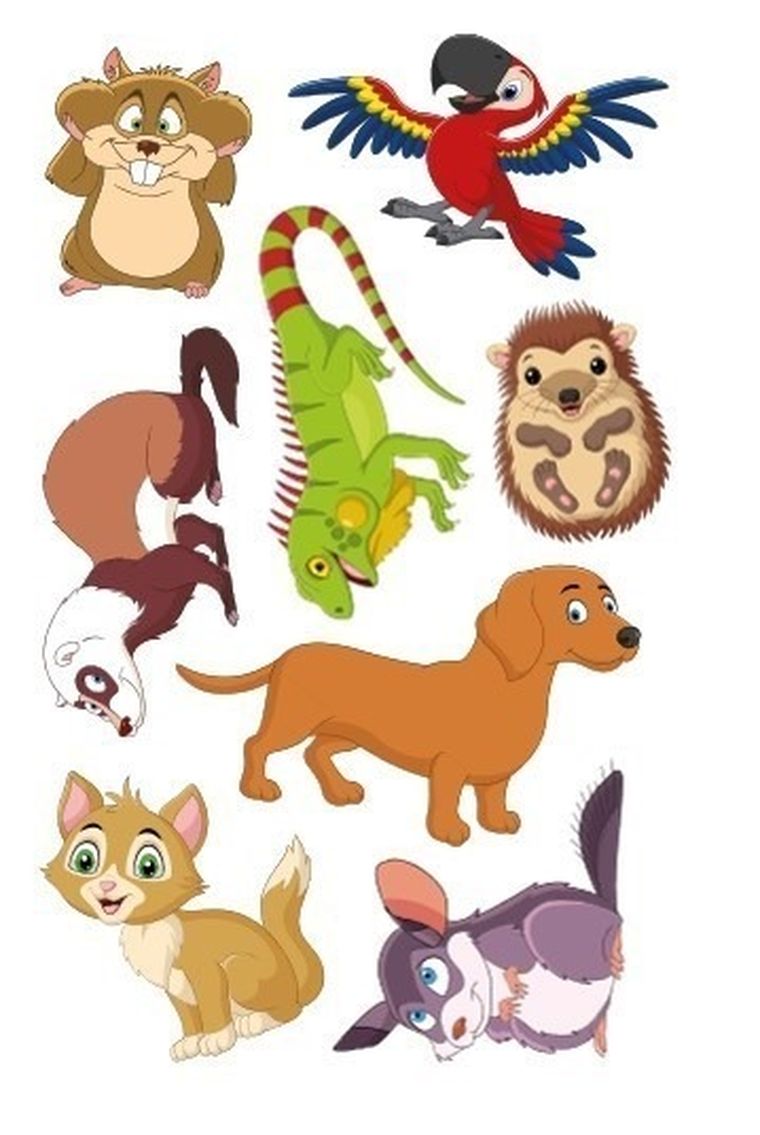 Kolorowanka z tatuażami. Zwierzęta domowe