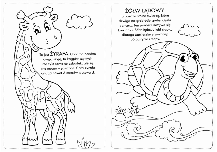 Kolorowanki z naklejkami. Wesołe ZOO