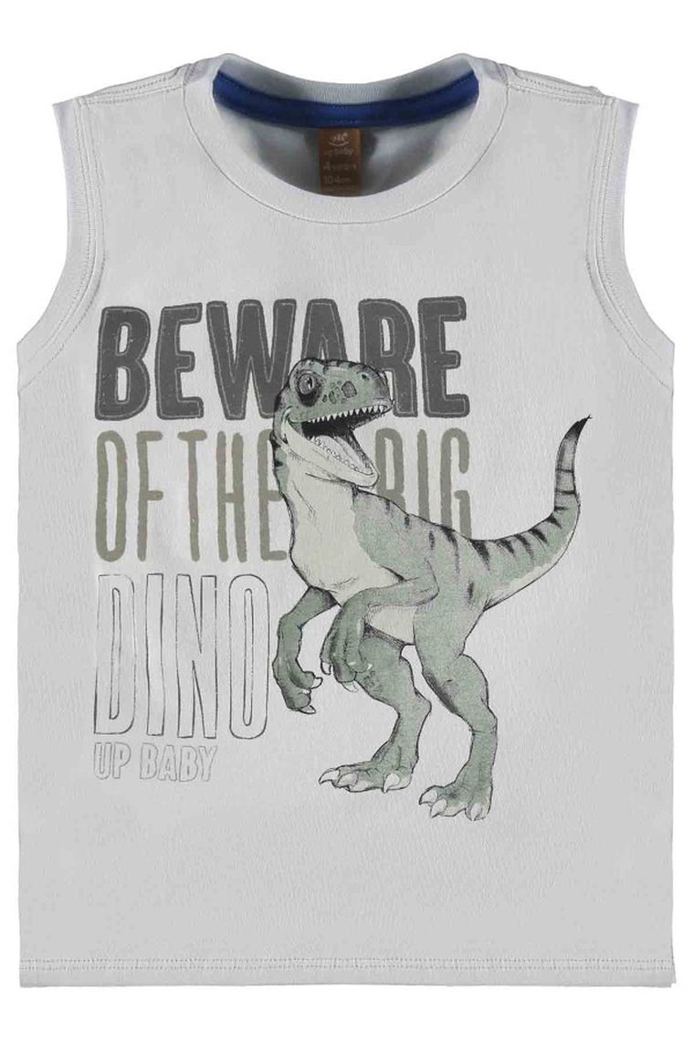 Komplet chłopięcy, Bluzka bez rękawów, Szorty, mix, Up Baby