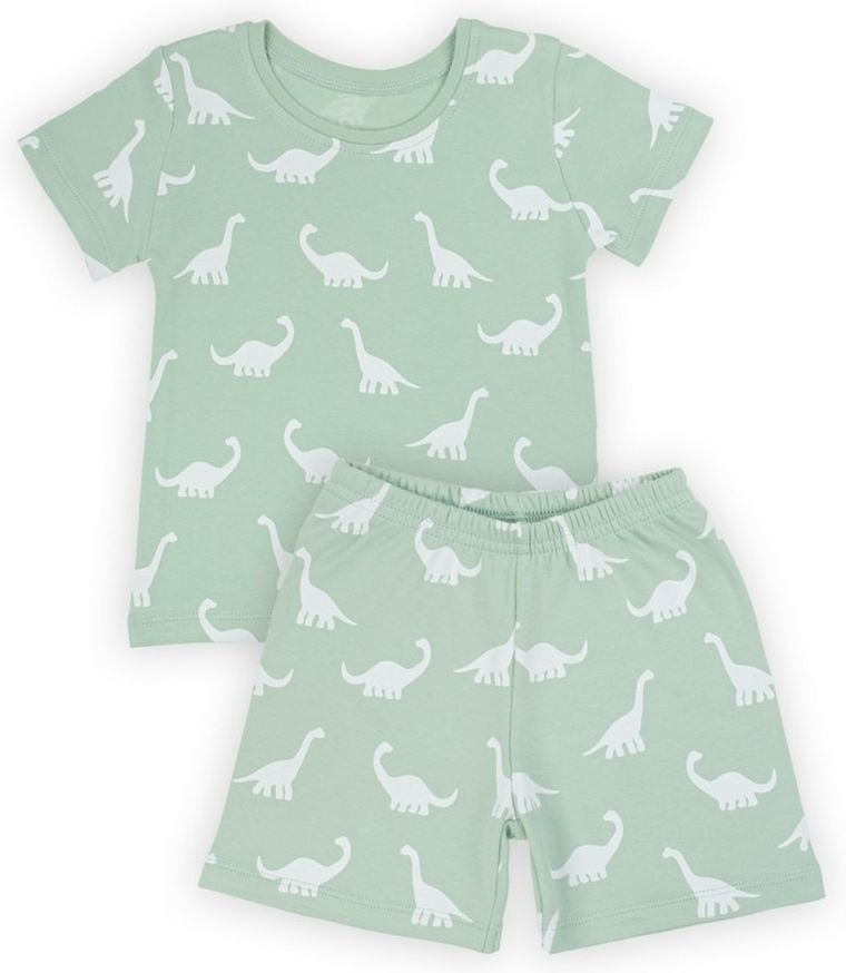 Komplet chłopięcy, T-shirt, Szorty, miętowy, Nicol
