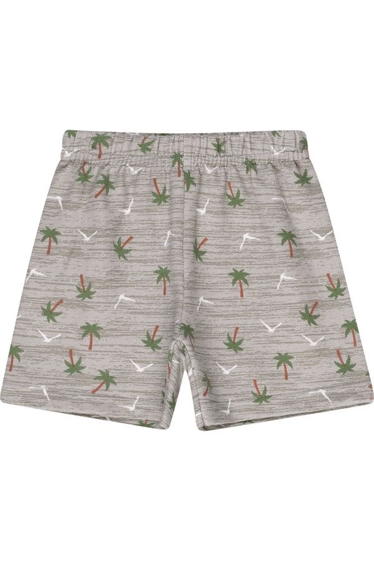 Komplet chłopięcy, T-shirt, Szorty, zielono-szary, Bee Loop