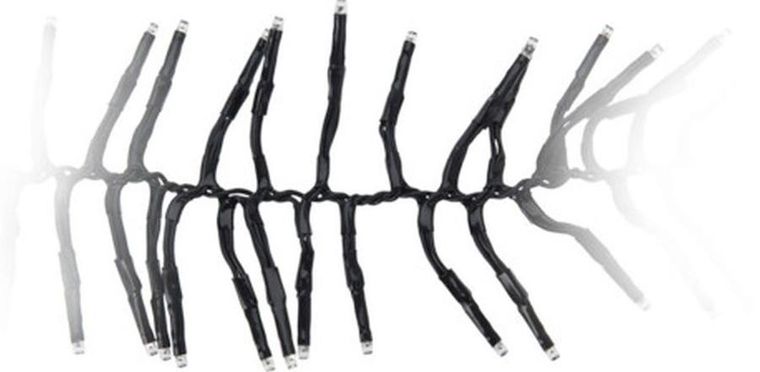 Koopman, lampki choinkowe, łańcuch świetlny, 576 LED, timer, multikolor