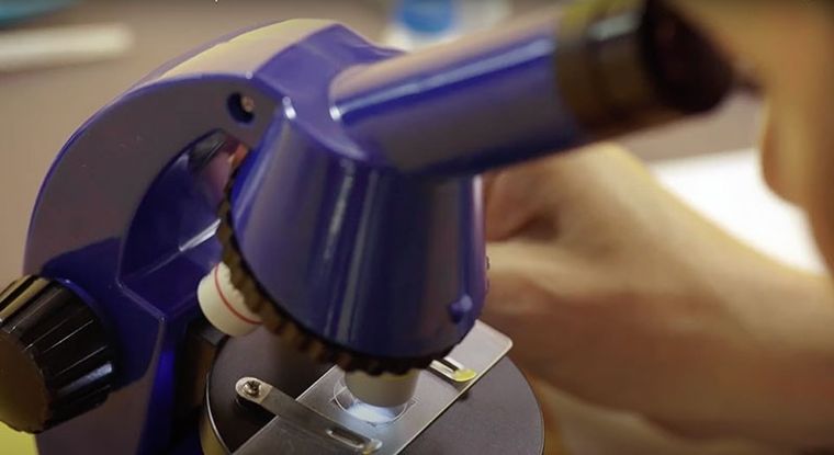 Kosmos, Mikroskop Odkrywcy, zestaw edukacyjny