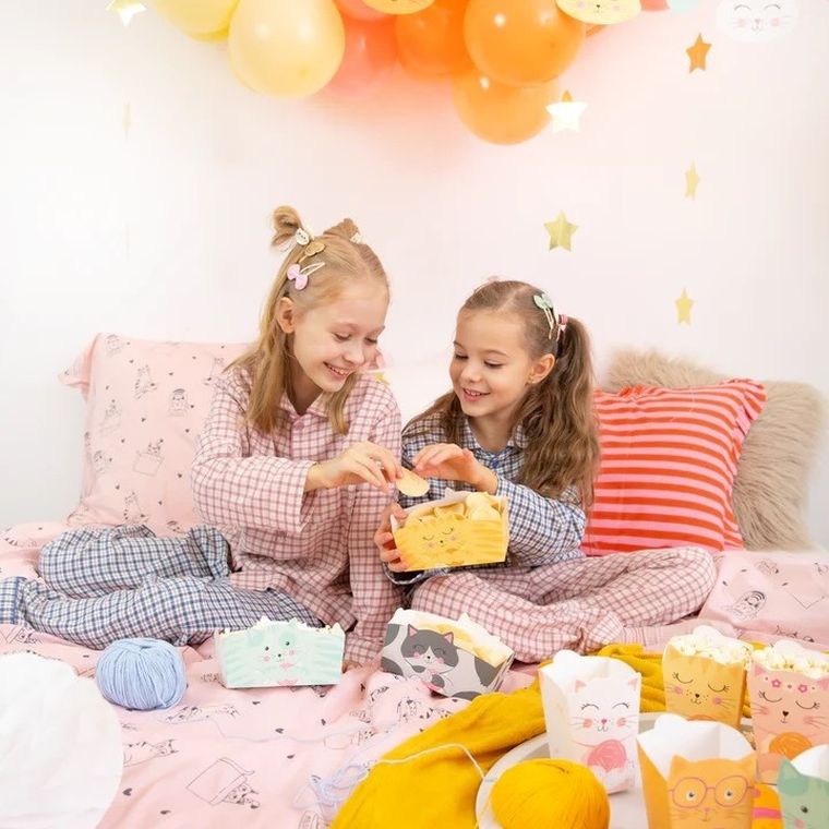 Kotki, pudełko na chipsy, 3 szt.