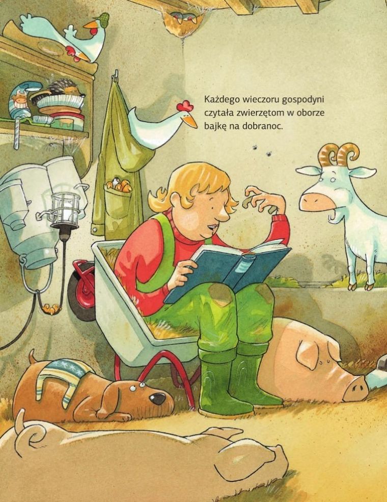 Krowa Matylda nie może zasnąć